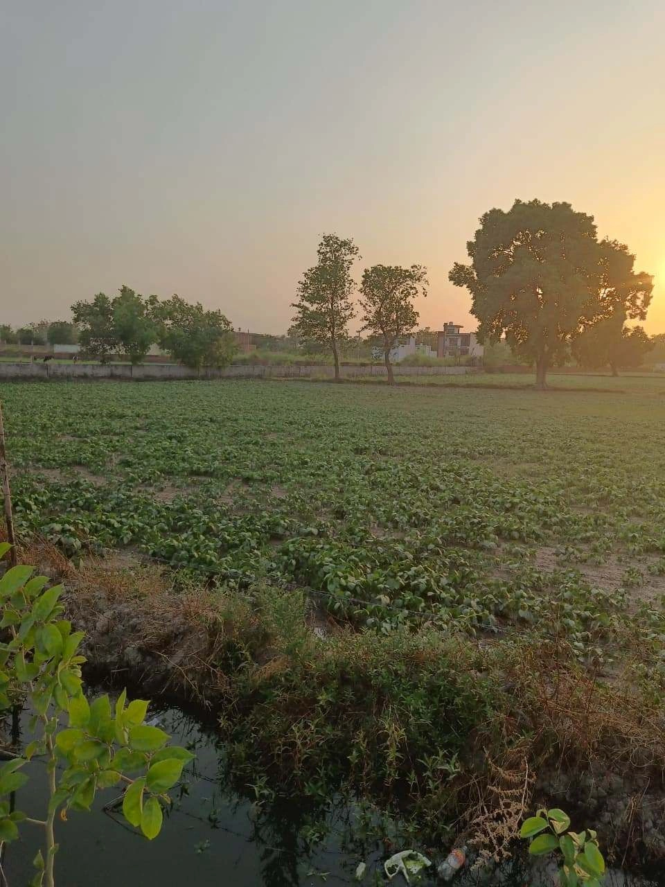 Chandauri, Uttar Pradesh, India preview 2