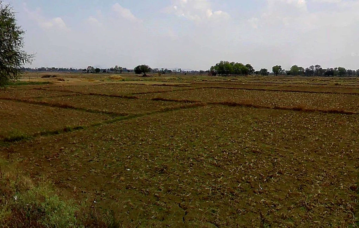 Khandsara, Chhattisgarh, India