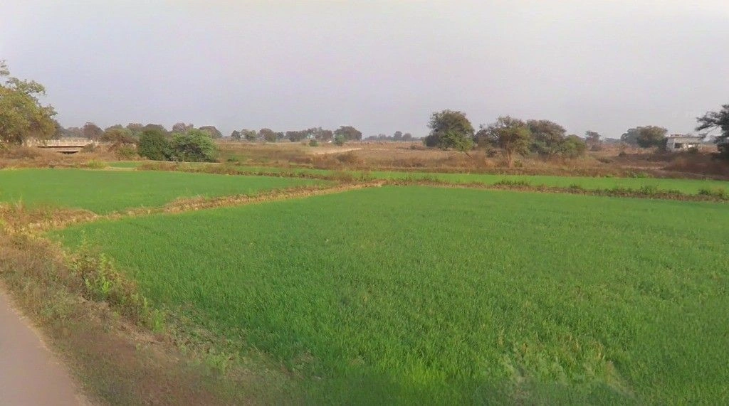 Sankara, Chhattisgarh 492112, India preview 2