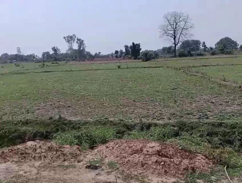 5C8X+9X Semara, Uttar Pradesh, India