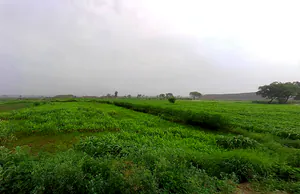 Israna, Haryana 132107, India preview 3