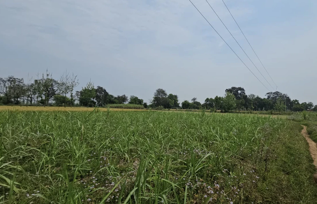 FXVW+GV Sukhtirth Khadar, Bijnor, Uttar Pradesh, India