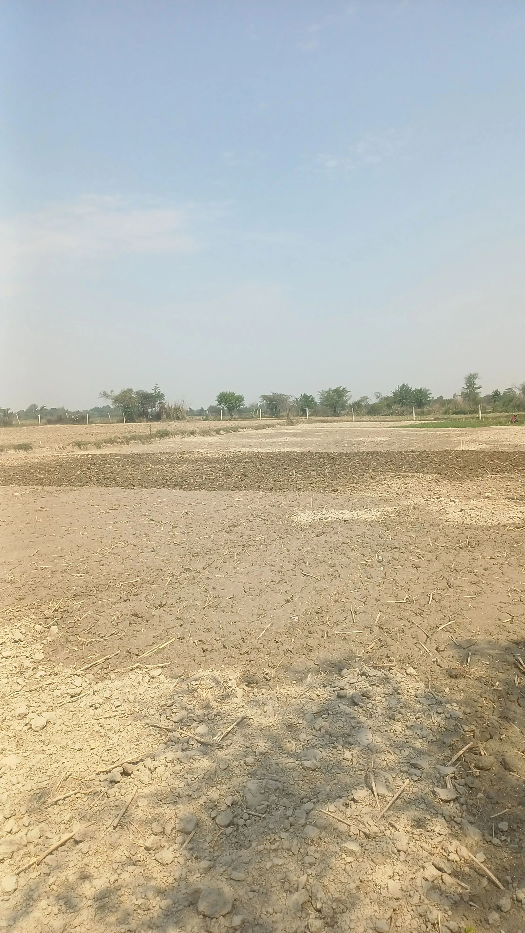 Ramnagar ، 225205 Ramnagar، India