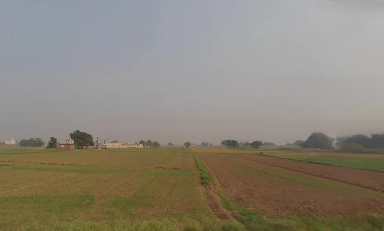 Morinda - Chunni Rd, Bhateri, Punjab, India