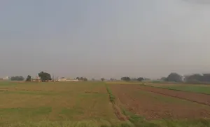 Morinda - Chunni Rd, Bhateri, Punjab, India preview 3