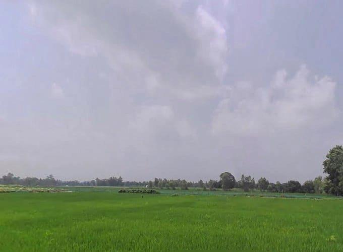 Madhotanda, Uttar Pradesh 262122, India