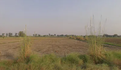 Kamai, Uttar Pradesh 281405, India preview 3