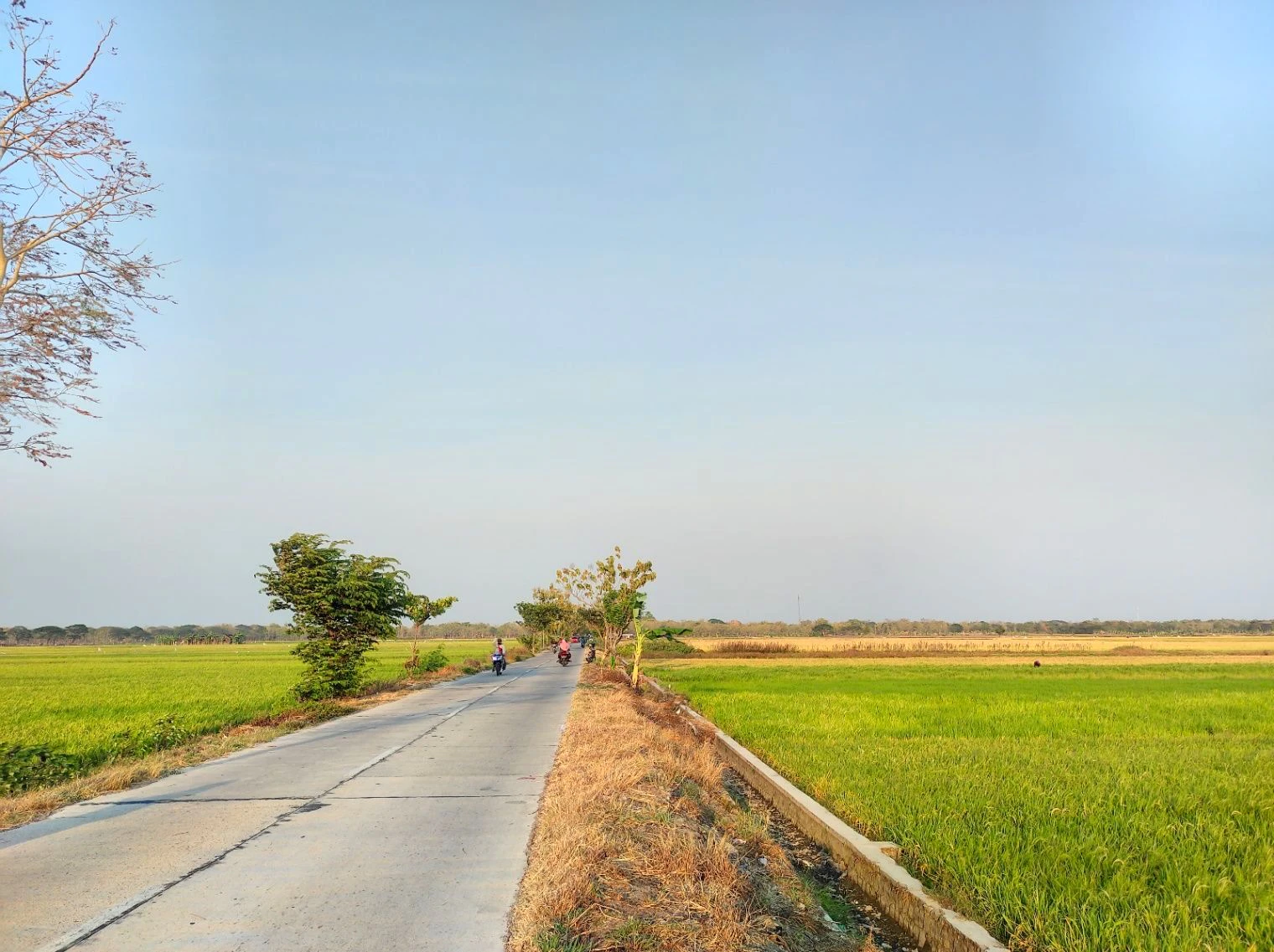 Songir, Madhya Pradesh, India