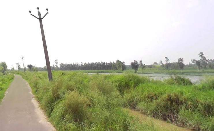 Behat, Uttar Pradesh 247121, India