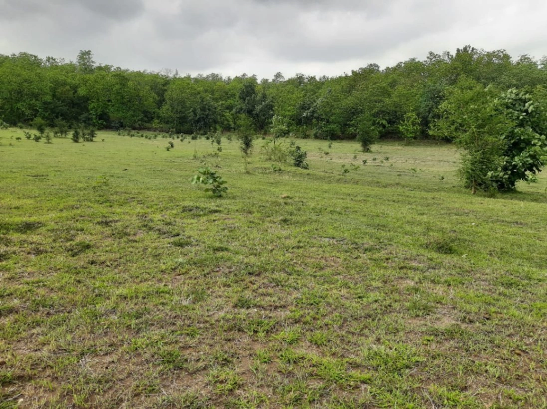 5JJG+3F Kalkuhi, Maharashtra, India