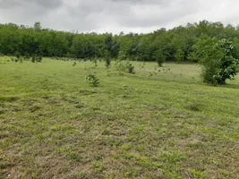 5JJG+3F Kalkuhi, Maharashtra, India preview 2