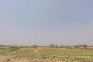 GXP3+MP8, Ajwan, Bihar 801109, India preview 2