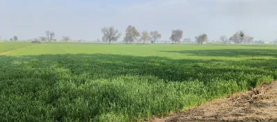 5QW8+PPH, Kharkhada, Dharuhera, Haryana 123106, India preview 3