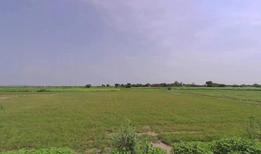 Pilani, Rajasthan 333031, India