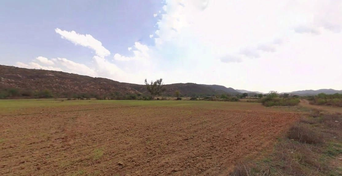 QP86+MX2, Bhadook, Rajasthan, India