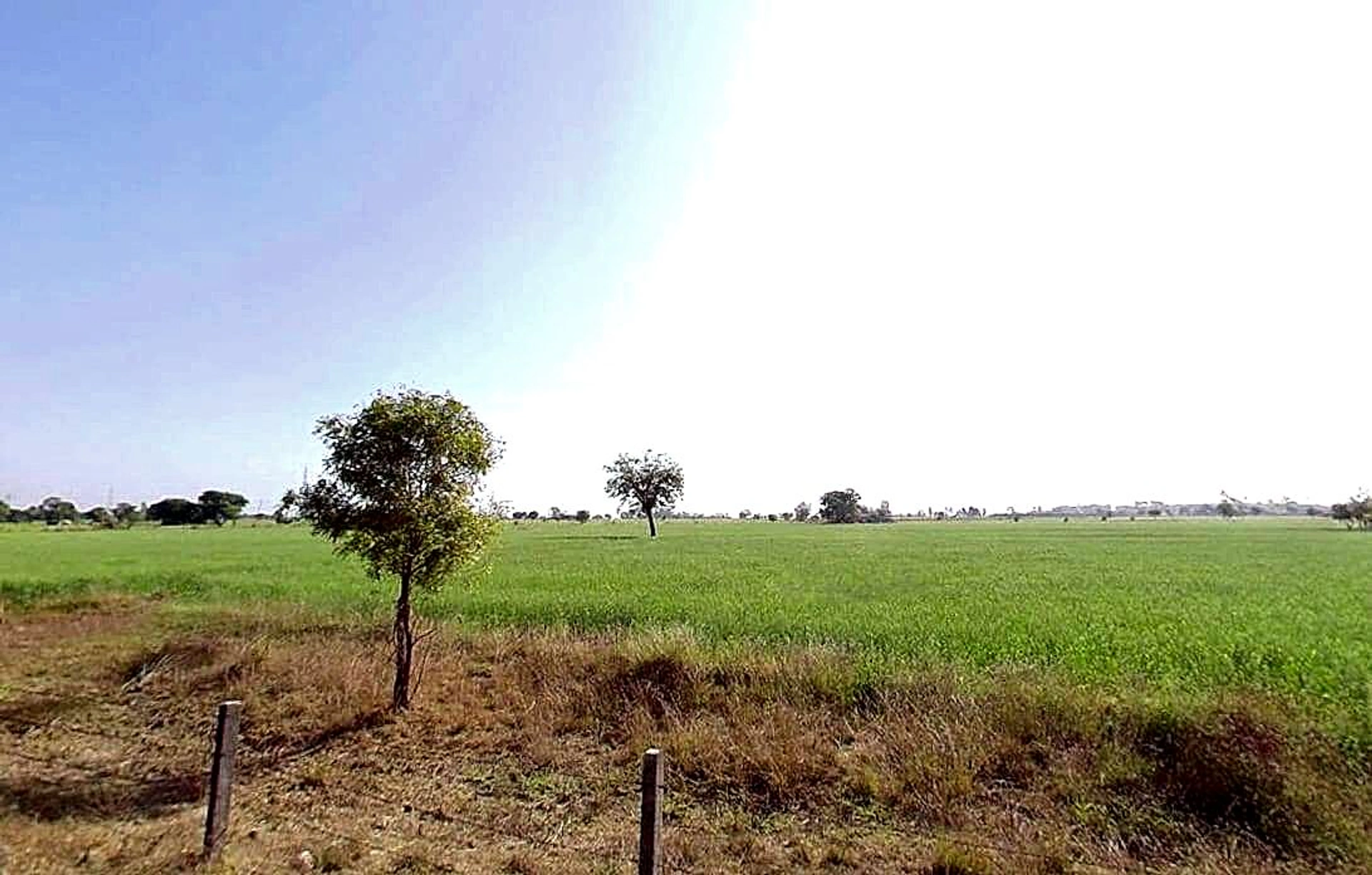 Agar, Madhya Pradesh 465441, India