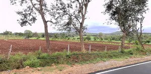 Begurjungle, Karnataka 571116, India preview 3