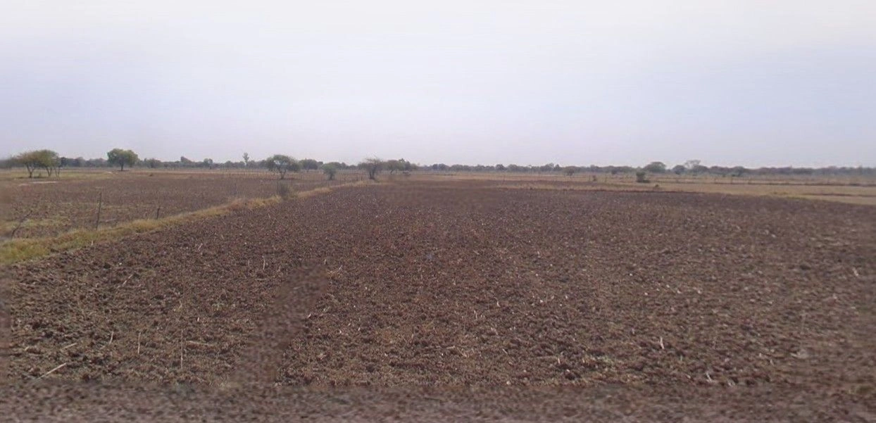 Kayamganj - Shamshabad Rd, Shamshabad, Uttar Pradesh, India preview 2