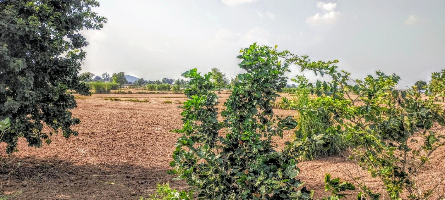 Nagla Chahar, Rajasthan 321203, India