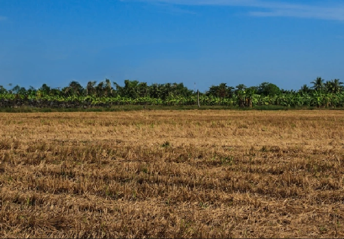 Pond, Chhattisgarh 493661, India preview 2