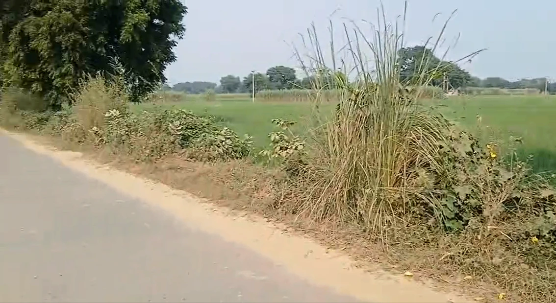 Nariyala, Faridabad, Haryana 121004, India - Photo 3