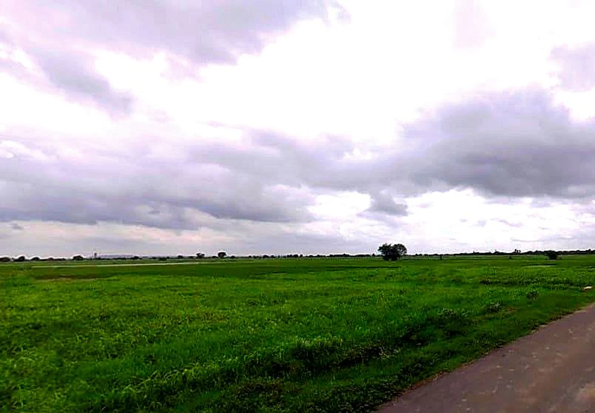 Nawa, Rajasthan 341509, India