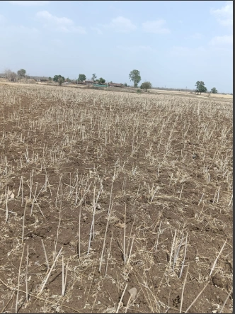 Ganj Basoda, Madhya Pradesh 464221, India