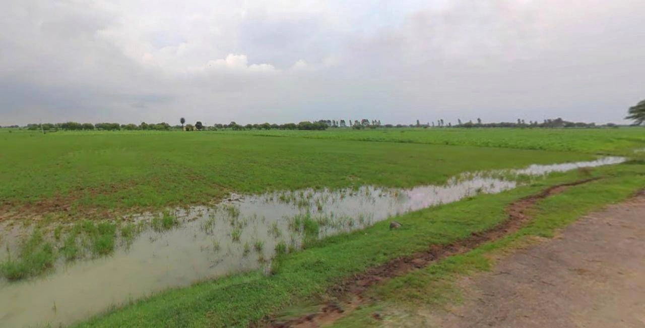 Haridwar, Uttarakhand, India