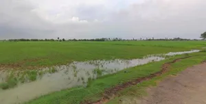 Haridwar, Uttarakhand, India preview 2