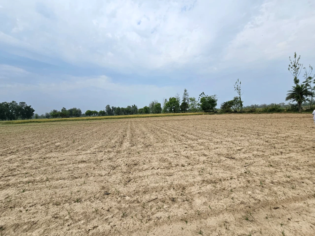 CC8H+X8, Mandha, Rajasthan 332602, India