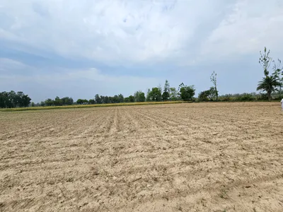 CC8H+X8, Mandha, Rajasthan 332602, India preview 3