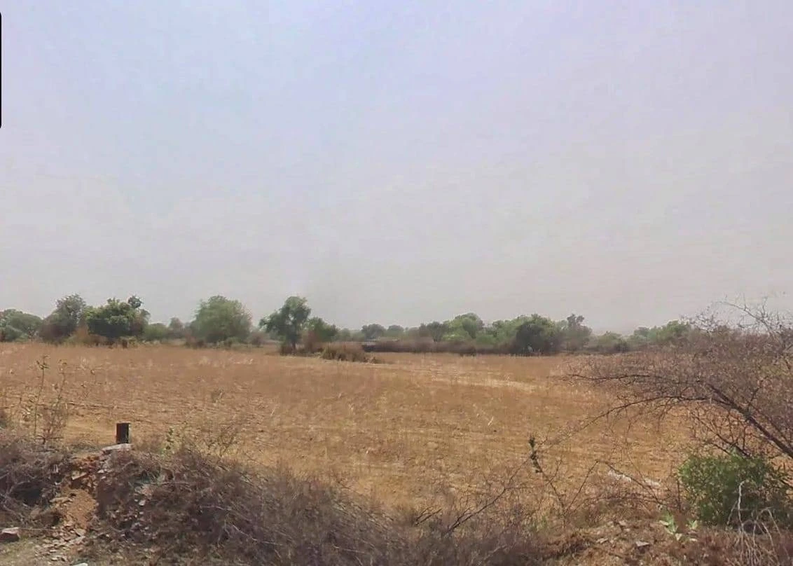 3FXF+RP Rajgarh, Haryana, India
