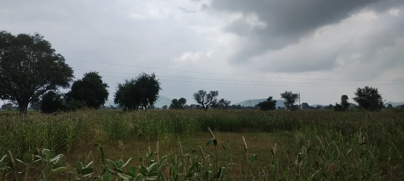 Bedha, Rajasthan 301021, India preview 3