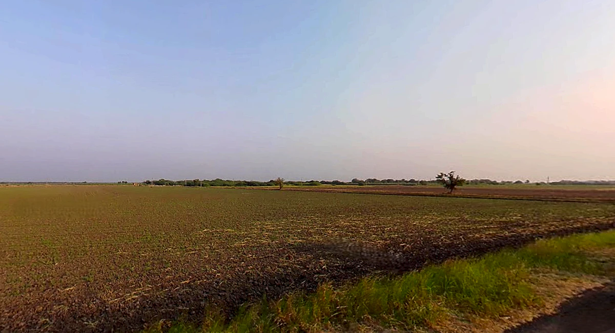 Dakor, Gujarat 388225, India