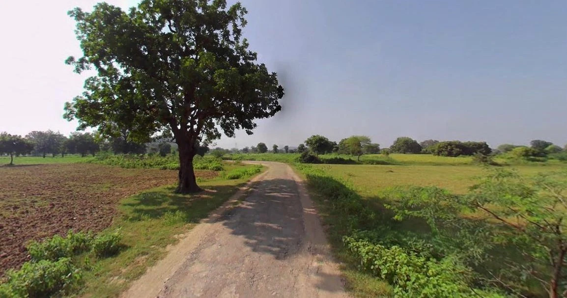 Barnagar, Madhya Pradesh 456771, India