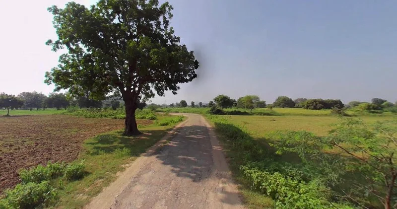 Barnagar, Madhya Pradesh 456771, India preview 2