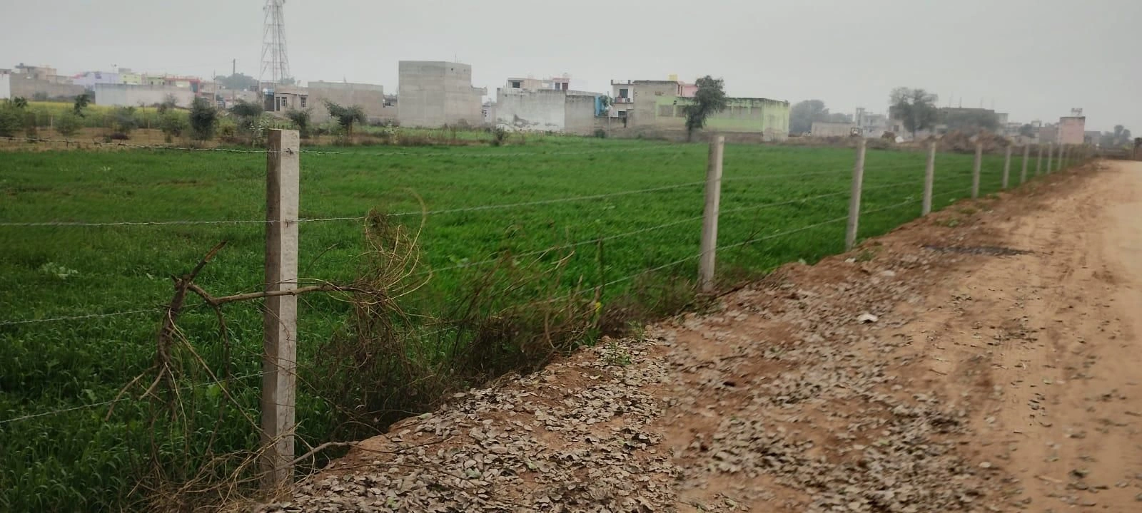 Khatoo, Rajasthan 332602, India