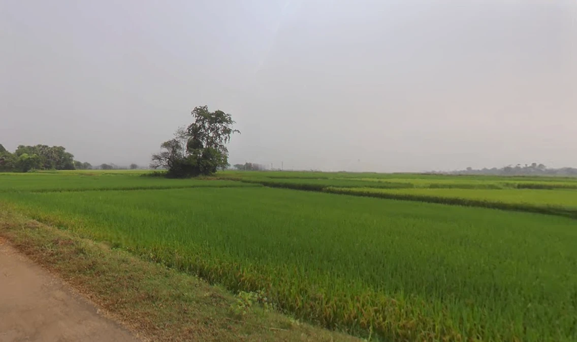 Anara, West Bengal 722134, India