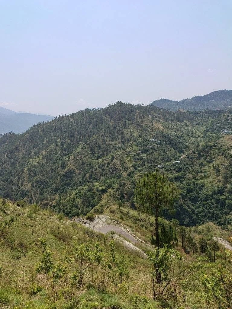 Jalna, Uttarakhand 263625, India preview 3