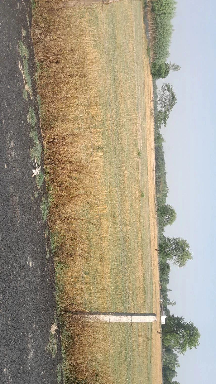 M5R2+94 Mainuddinpur, Uttar Pradesh, India
