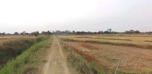 Chandausi, Uttar Pradesh 244412, India preview 3