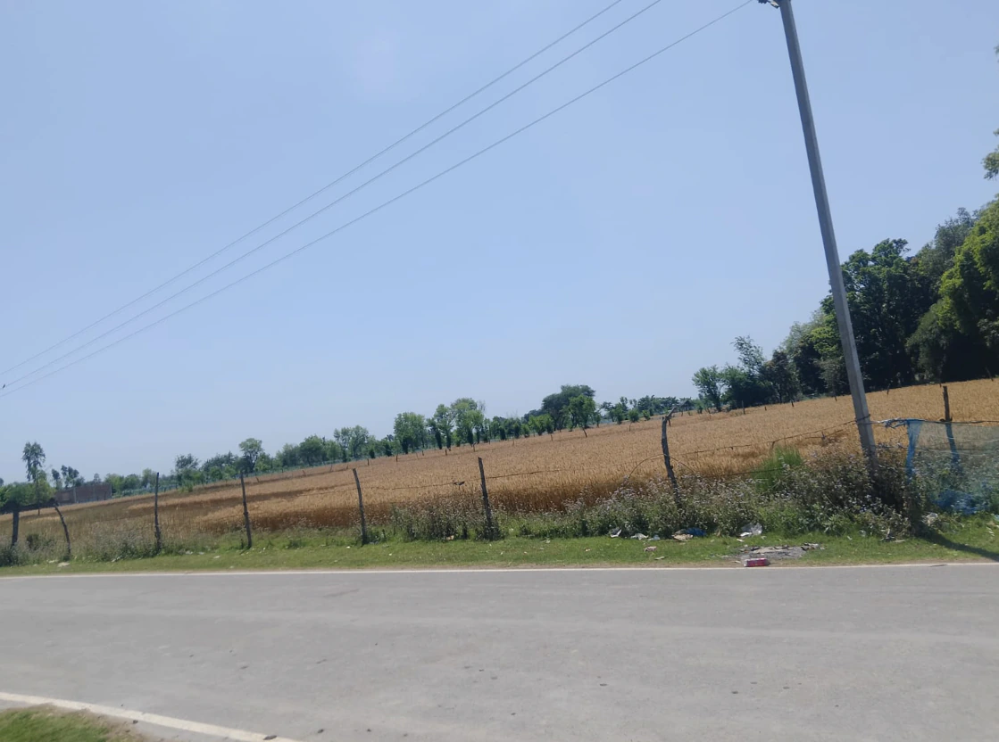 Shankar, Punjab 144042, India