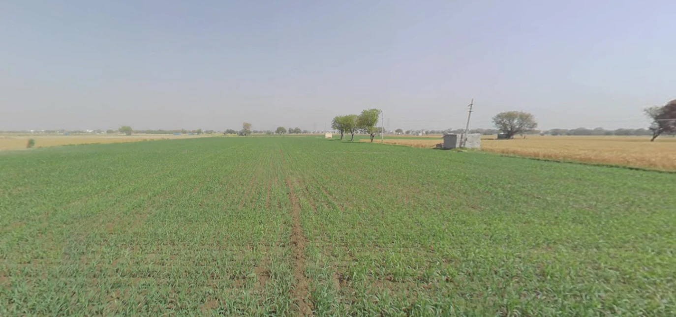 Khanpur, Gujarat 382225, India