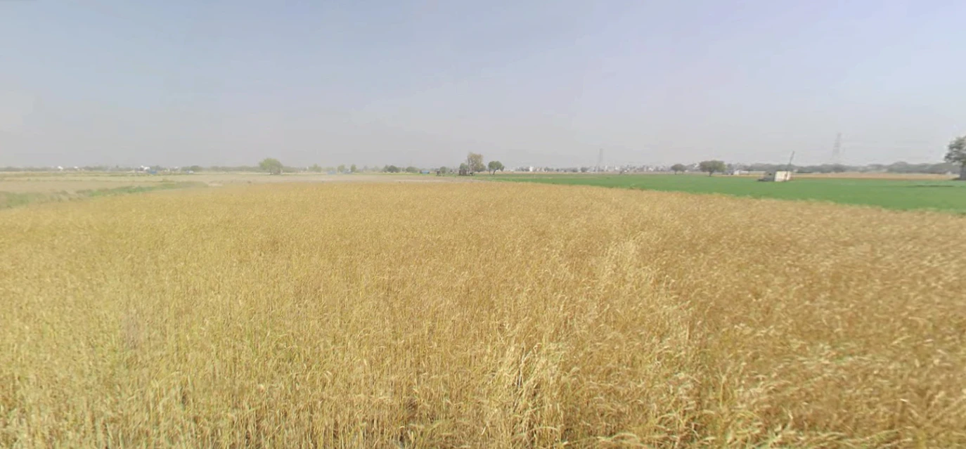 Rampura, Gujarat 393145, India