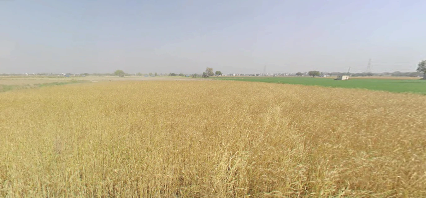 Rampura, Gujarat 393145, India