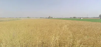 Rampura, Gujarat 393145, India preview 2