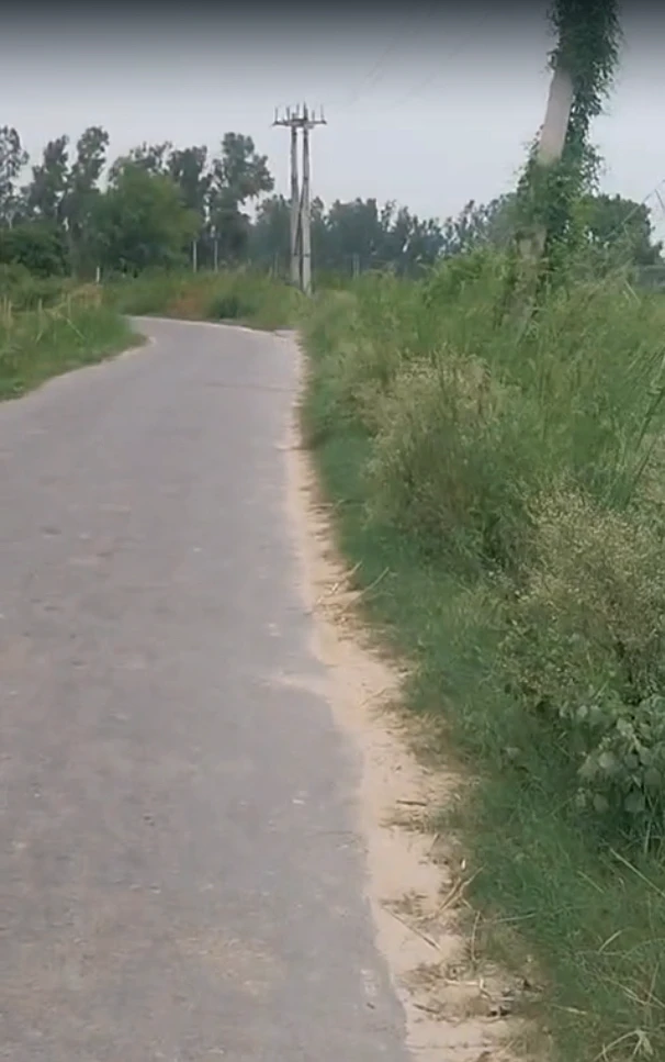 5QRW+428, Rewari, Dharuhera, Haryana 123106, India