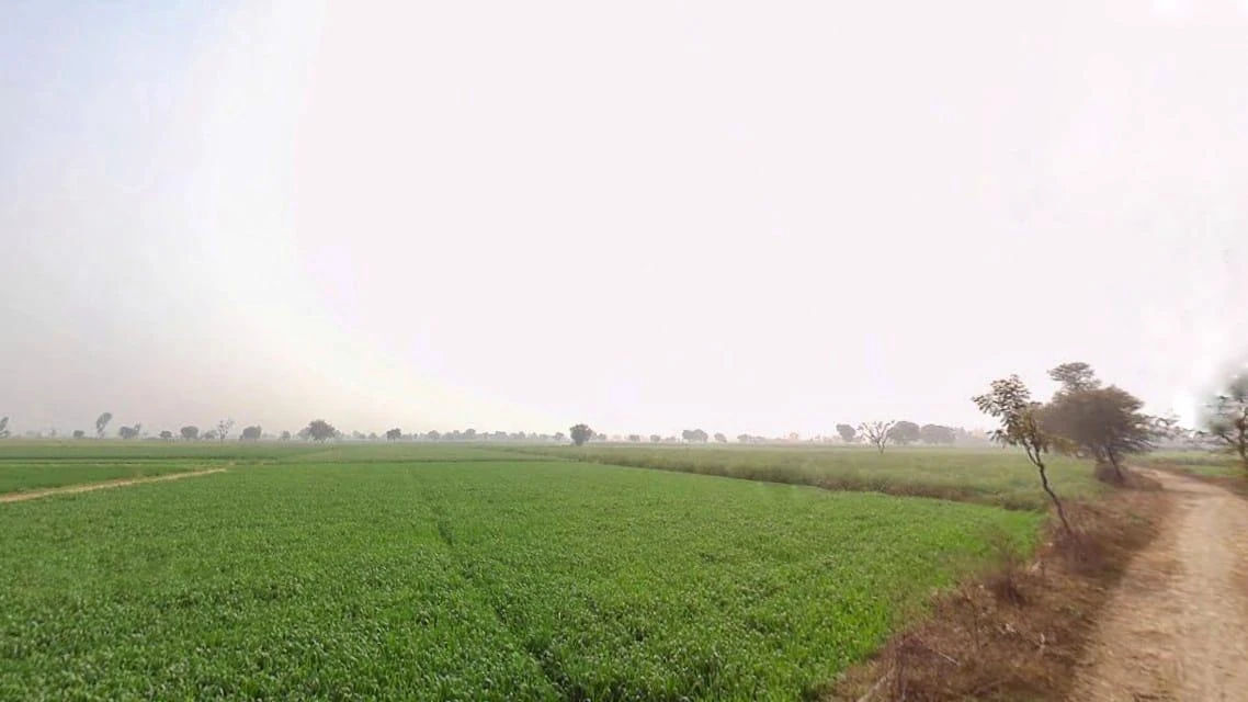 Kherli - Kathumar - Nagar Rd, Kherli, Rajasthan, India