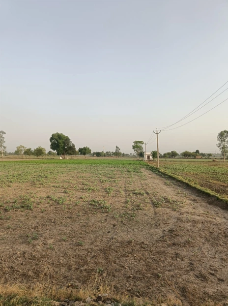 Khurja, Uttar Pradesh 203131, India