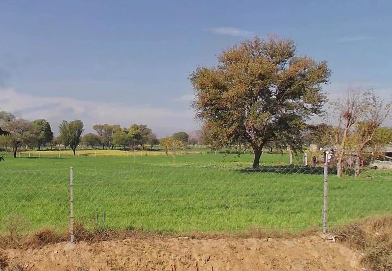 626W+CGJ, Dhaula, Rajasthan 303120, India preview 3